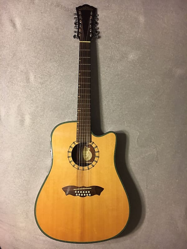 Washburn d46sce12 shop