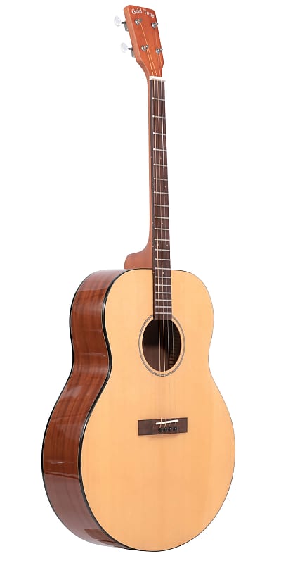 GOLD TONE Mastertone TG-18 4-string Tenor GUITAR new - Solid Spruce Top image 1