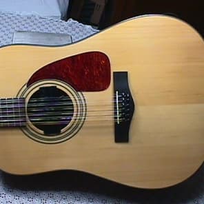 Fender Solid Wood Flat Top Amplified 12 String Guitar Model DG-14S/12 in Case & Ready to Play as-is image 3
