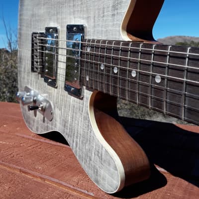 Durango Guitar Works - Stinger image 3