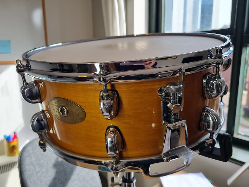 Premier Artist Maple snare 14