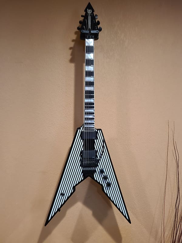 Wylde audio viking with floyd deals rose electric guitar black pinstripes