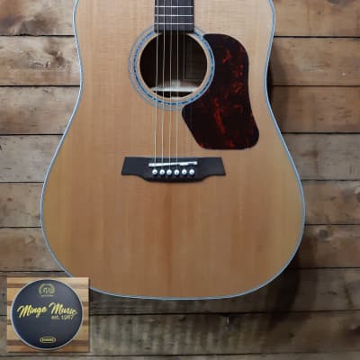 Walden  Natura D740E all-solid dreadnought with gig bag. FREE Canadian shipping (*) image 1