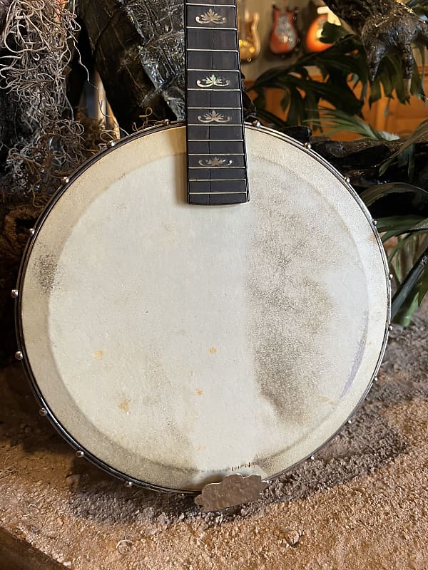 Orpheum No. 1 Mandolin Banjo Project with Original Hard Case | Reverb
