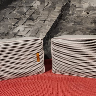 Acoustic Audio Acoustic Audio Model 251 indoor/outdoor speakers 2000 image 1