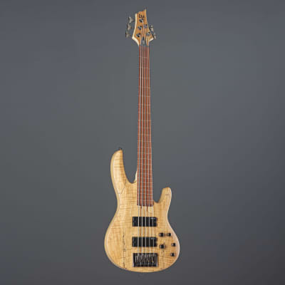 ESP LTD B-205SM-FL 5-String Bass G uitar   - 5-String Electric Bass image 9