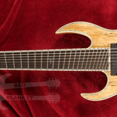 B.C. Rich Shredzilla 8 Prophecy Archtop Fanned Frets Left Handed Spalted Maple SZA824FFSMLH 2020 Spa image 2