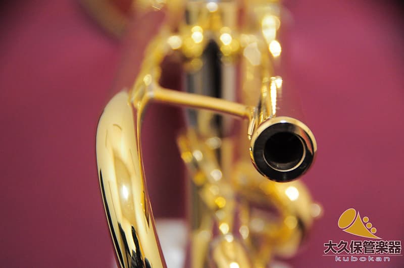 Brasspire Unicorn BPTR-900HNL B♭ Trumpet | Reverb