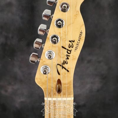 Fender Custom Shop 2015 Telecaster Thinline NOS Masterbuilt By Yuriy Shishkov image 8