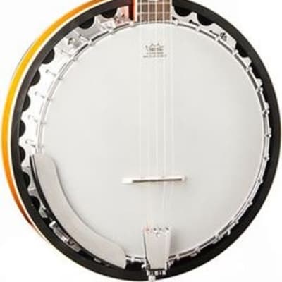 Washburn B10 5-String Mahogany Banjo, Authorized Dealer, Free Shipping