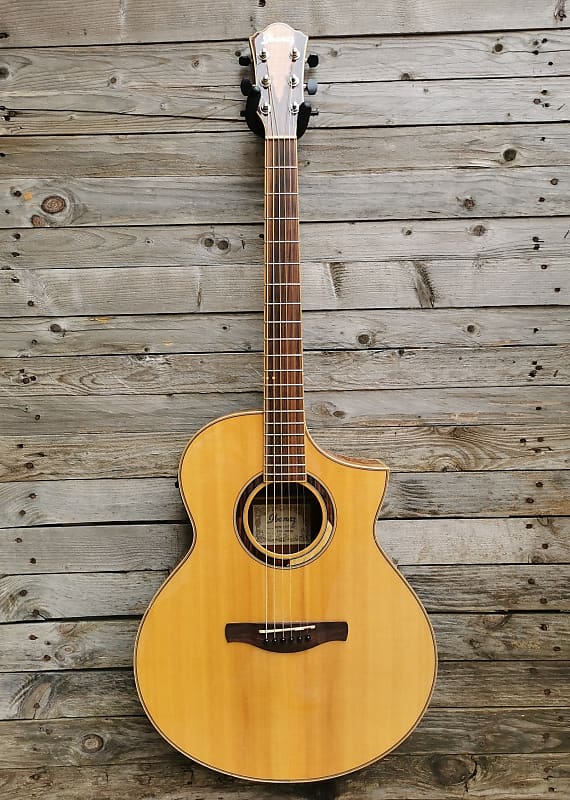 ギター Ibanez AEW51 AEW51 | Ibanez Wiki | Fandom