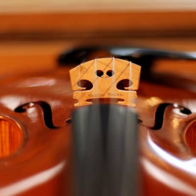 Haddon Brown Violin 4/4 - Sleeping Beauty Stradivari Model image 9