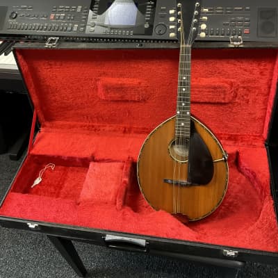 GIBSON ALRITE MANDOLIN MADE IN USA 1917 STYLE D NO.435  IN EXCELLENT CONDITION WITH ORIGINAL HARD CASE AND KEY. image 14