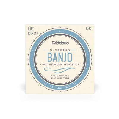 D'Addario EJ69 5-String Banjo Strings, Phosphor Bronze, Light, 9-20 image 1