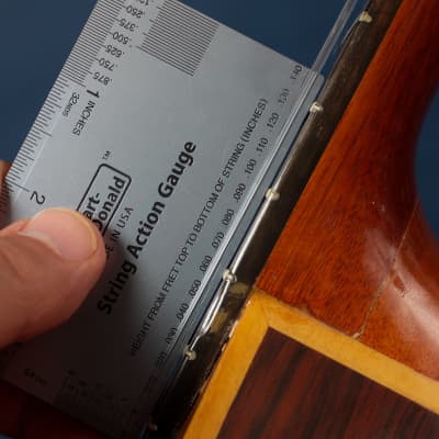 Giannini Craviola AWKNS6 / Nylon String and Bossa Ready! image 19