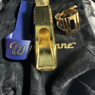 Theo Wanne Earth alto saxophone mouthpiece AG7 2020 - Gold plated image 3