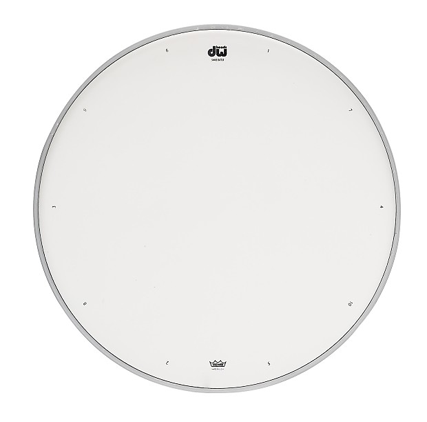 DW DRDHCW13 13" Coated Snare Drum Head w/ Tuning Sequence image 1