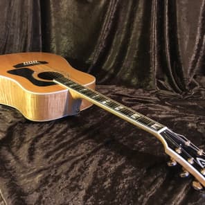 Guild D60 Maple Back "90s Westerly Wonder" Rare Bird  Acoustic Electric Top of the Line Model image 12