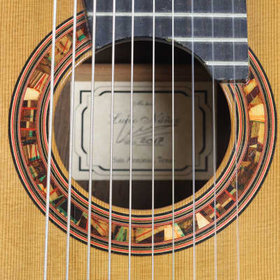 RARE Lucio Nuñez 10-String Classical Harp Guitar w/Cutaway, Arm Rest, Sound Port, Cedar/Cocobolo, TKL Hardshell Case image 16