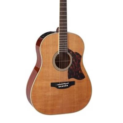 Takamine CRN-TS1 Slope Shoulder Dreadnought with Case Natural image 2