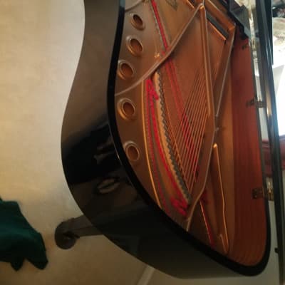 Yamaha C7 Concert Grand C7 1995 Black/Glossy image 6