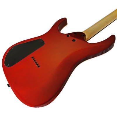Palm Bay Guitars - Avalanche AXX Custom EMG + case image 4