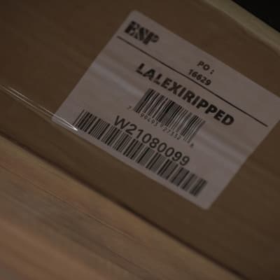 ESP LTD Alexi Hexed - Purple Fade w/ Pinstripes - 1 image 19