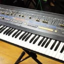Roland  Jupiter 6 61-Key Synthesizer