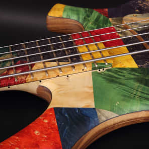 KD "Picasso" 5 string Electric Bass Unique Boutique Handmade image 15
