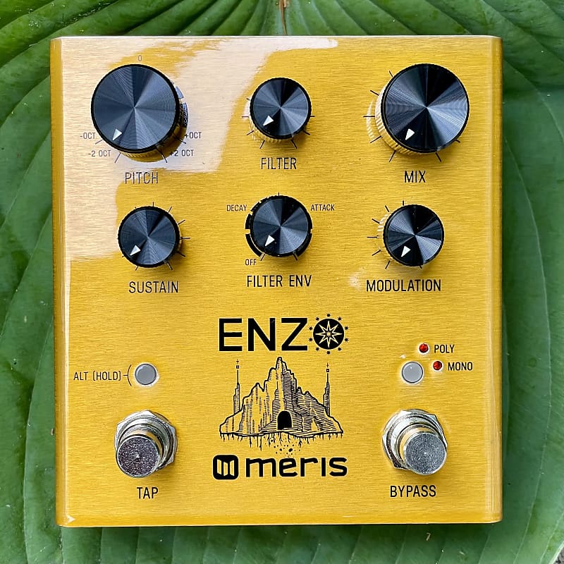 Meris Enzo