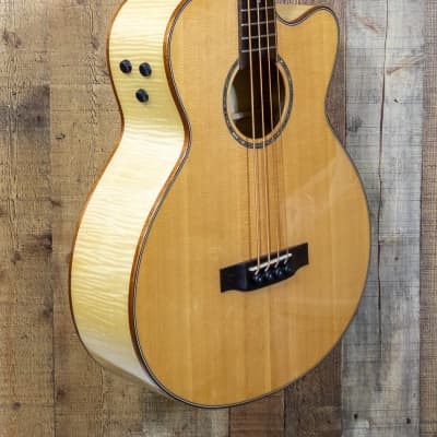 Teton Acoustic Bass STB130FMCENT (Discontinued) image 4