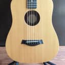 Baby Taylor 305 w/ HSC and Gig Bag, Used