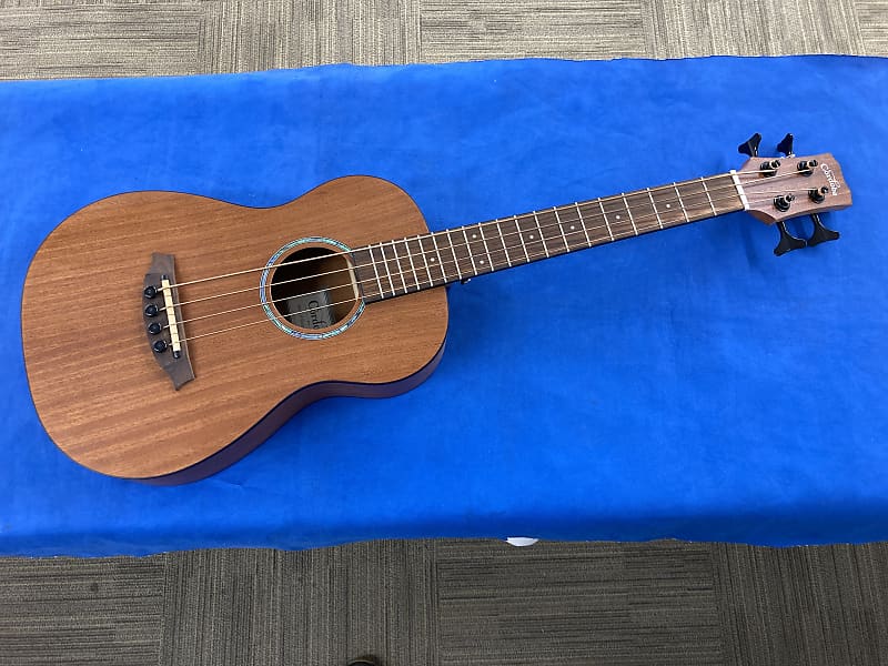 Cordoba Mini II Bass MHE electric acoustic bass Reverb