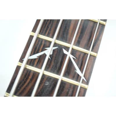 Warwick Robert Trujillo Metallica Model Electric Bass Guitar 4 Strings image 6
