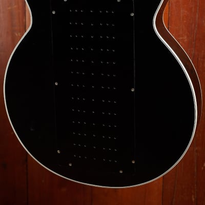 Godwin Guitar Organ 1970s - Black (RARE) image 7