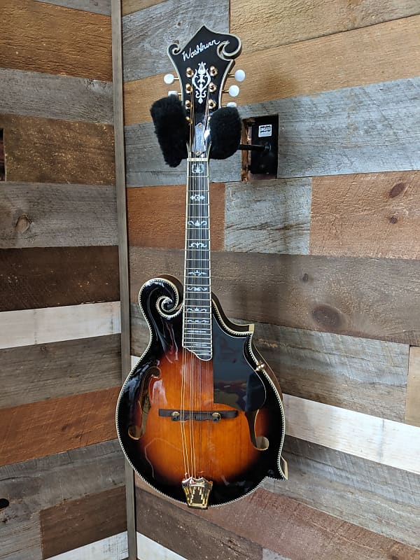 Washburn Guitars