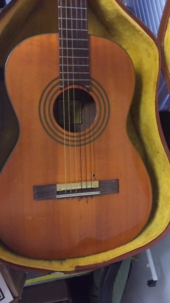 Prismatone pickup for on sale sale