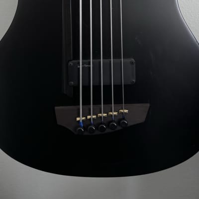 Godin A5 Ultra Semi-Acoustic Fretless 5-String Bass 2010s - Natural image 4