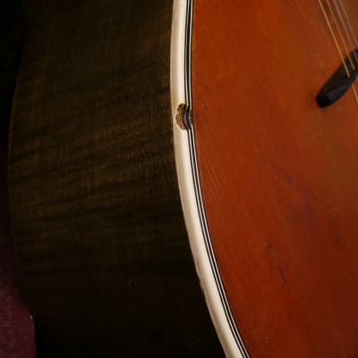Antique Tenor guitar ca. 1920 image 13