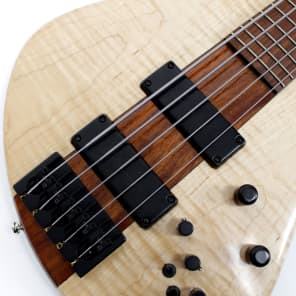 2007 USA Made Eshenbaugh Custom 5-String Electric Bass Guitar image 13