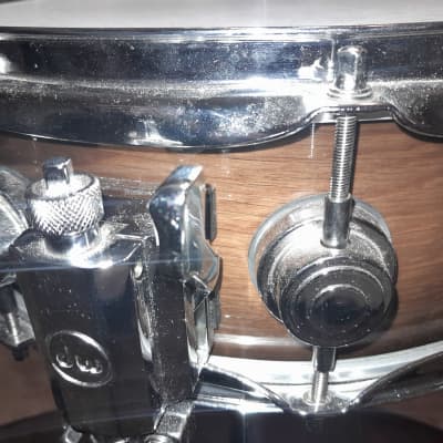 DW Collector's Series Maple 5x14" Snare Drum image 3