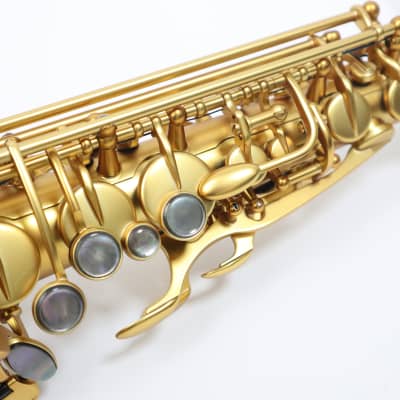 Freeshipping! H.Selmer 【Limited model】 Supreme Modele 2022 Alto saxophone image 4