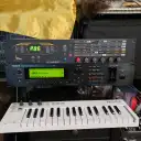 Waldorf Pulse Rackmount Synthesizer