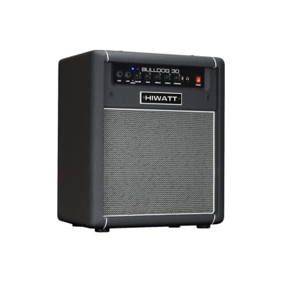 Hiwatt Bulldog 30 Combo Per Basso 1 X10 30 W image 2