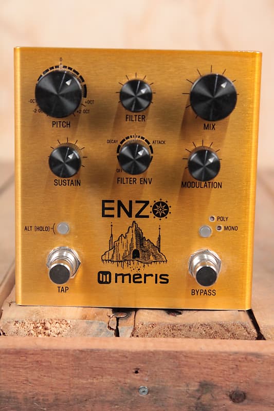 Meris Enzo
