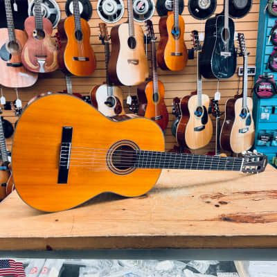 Yamaha G-50 MIJ Classical Guitar