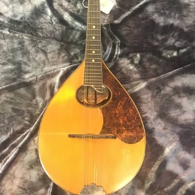 Rare Harmony Perfacktone Mandolin  1920’s image 1
