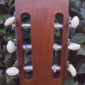 Gibson C-O classic 1963 image 5