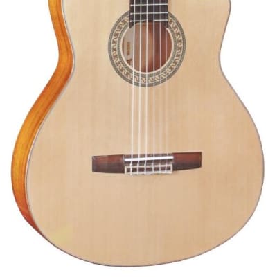 Corbin MDG329-CE Acoustic Electric Classical with Cutaway for sale