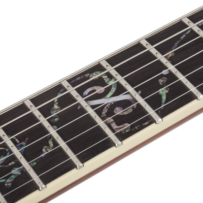 Schecter Avenger Exotic Ziricote image 11